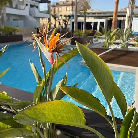 Luxury 3br Garden Pool Punta Prima Pp35 * Dehesa de Campoamor (Orihuela Costa)